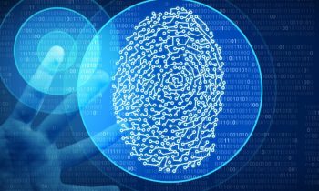 Exploring the Rise of Biometric Authentication in Mobile Payments