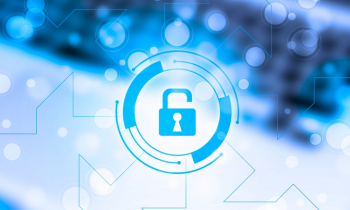 Cyber Resilience in Government and Public Sector Organizations